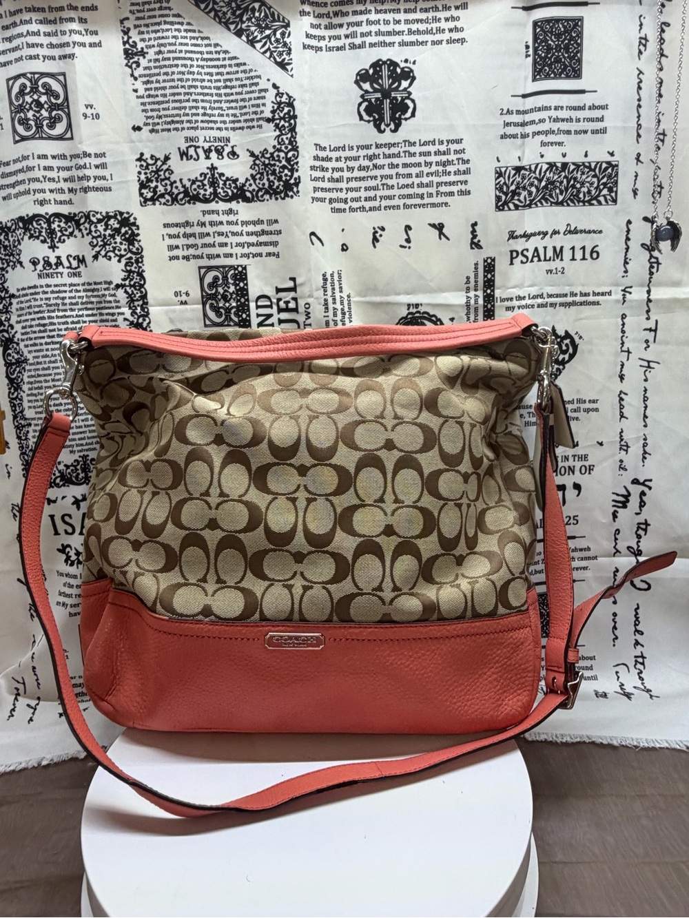 EUC Coach Park SignatureHOBO Bag